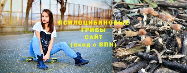 соль ск Инсар