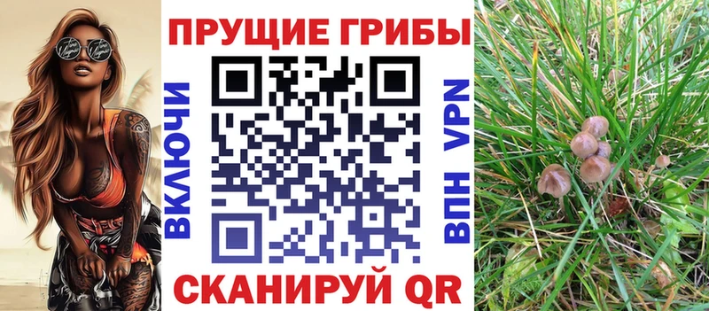 Галлюциногенные грибы ЛСД Киржач