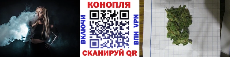 MEGA как зайти  Киржач  Каннабис ГИДРОПОН 